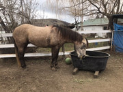 B03E1947-5FFC-400F-AF61-D3A79B22DF36