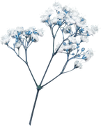 april-showers-SD-91