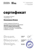 British Higher School of Art and Design Кононенко Елена copy