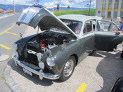 IMG-1517.jpg