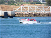 Arade-estuary-170625 (3)