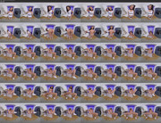 [Image: 17102024201245screenshot.jpg]