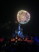 4D9D491C-362A-4332-A518-9F6C4BFFF0E0