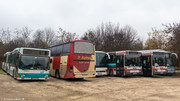 IMG-1579