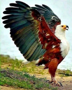 272857362_3121069864888847_3525940759214687179_n