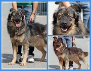 Be-Funky-collage-17.jpg&key=e3143060bec4