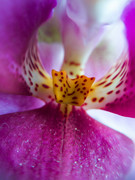IMG-20190403-170847
