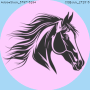 Colour of Choice 2 stable avi