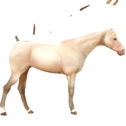 5744A9FC-A22F-4B95-ADC4-DF5D4A204EE9