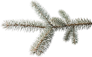 BC-ATaste-Of-Winter-El-95