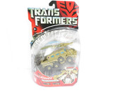 81811310-3254553957892474-7563606741636612096-o