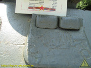 IMG-5522