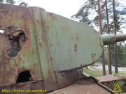 IMG-6397