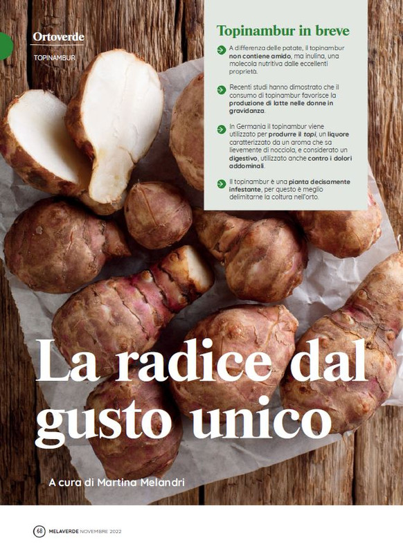 melaverde Nov 2022 (7)