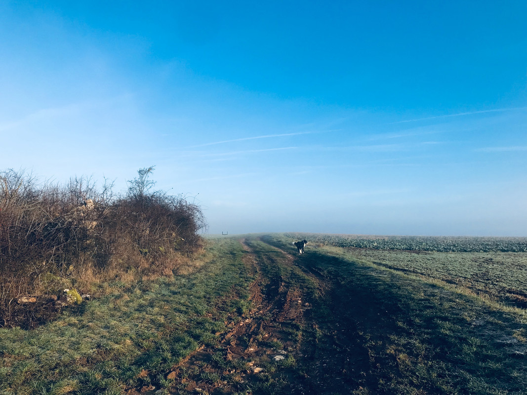 B7ECC20A-99A5-4A14-9464-AF759BCD93BD