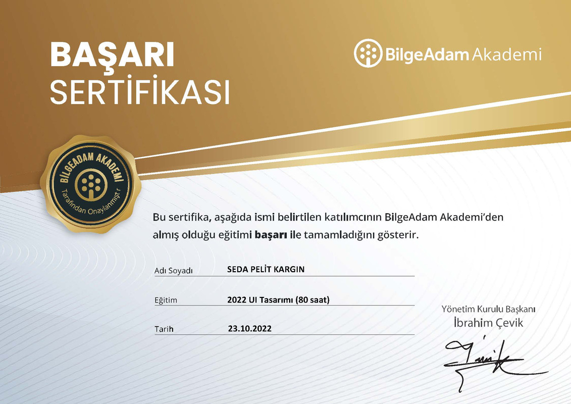 SEDA PELİT KARGIN UI DESIGN BAŞARI SERTİFİKASI