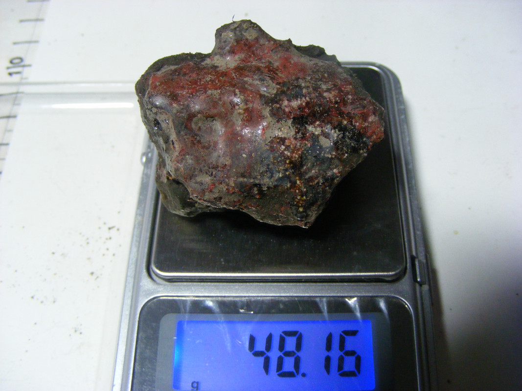 DSCF5631