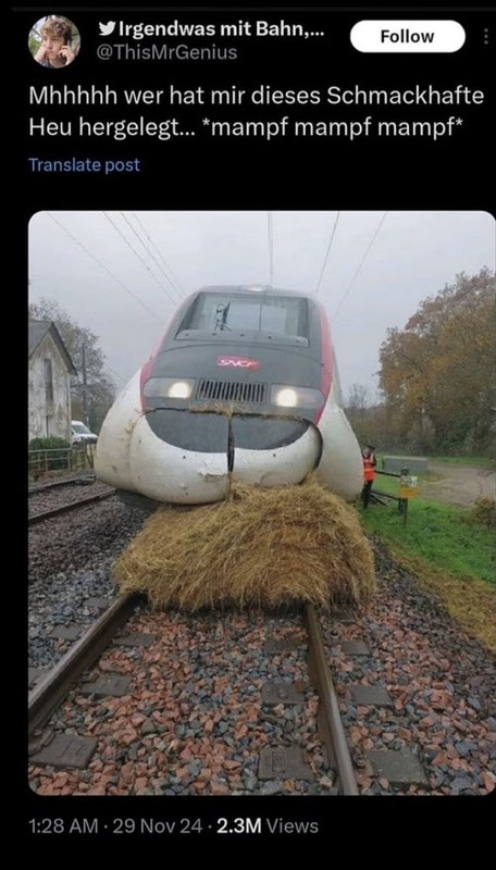 17th.jpg