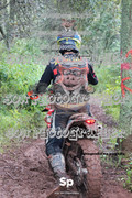 IMG-0456