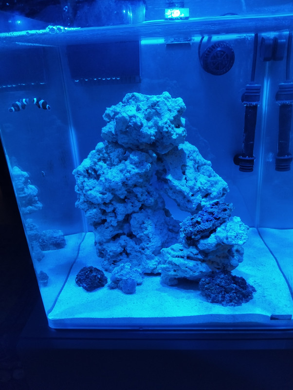 17670384810784655564711764386233