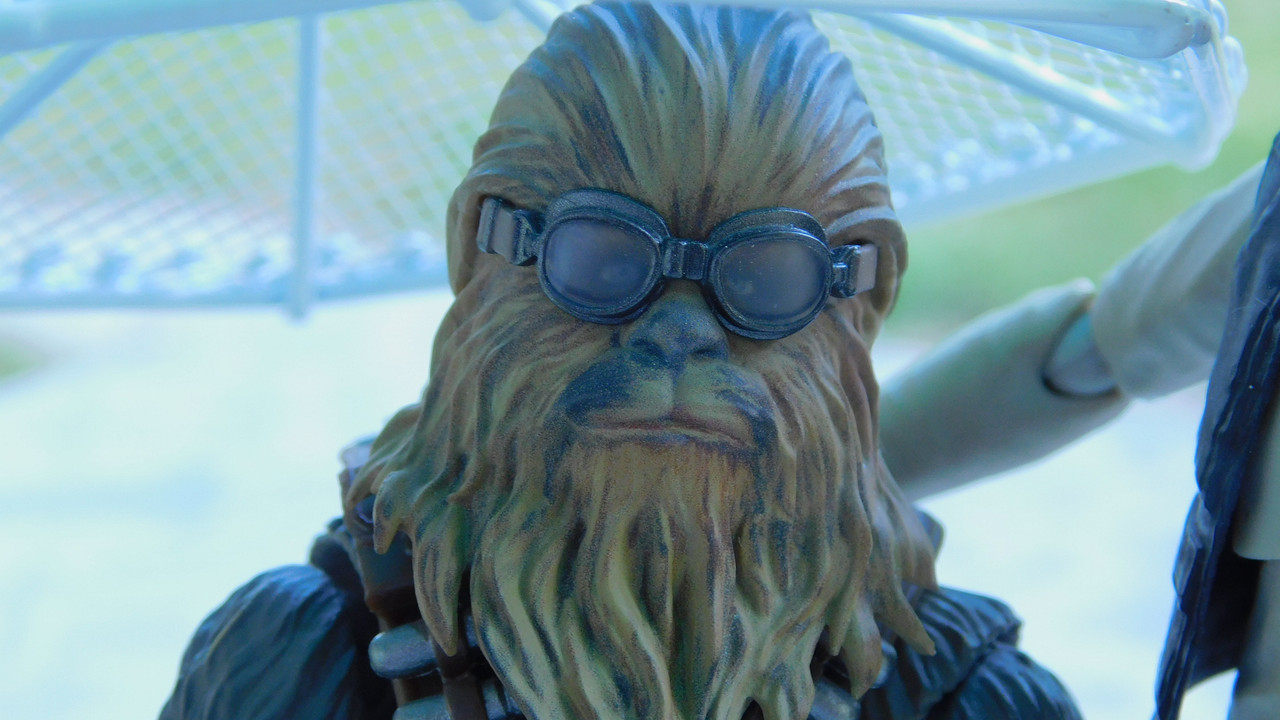 Дачно-барбейское июль, Харлинское 2-я серия 153