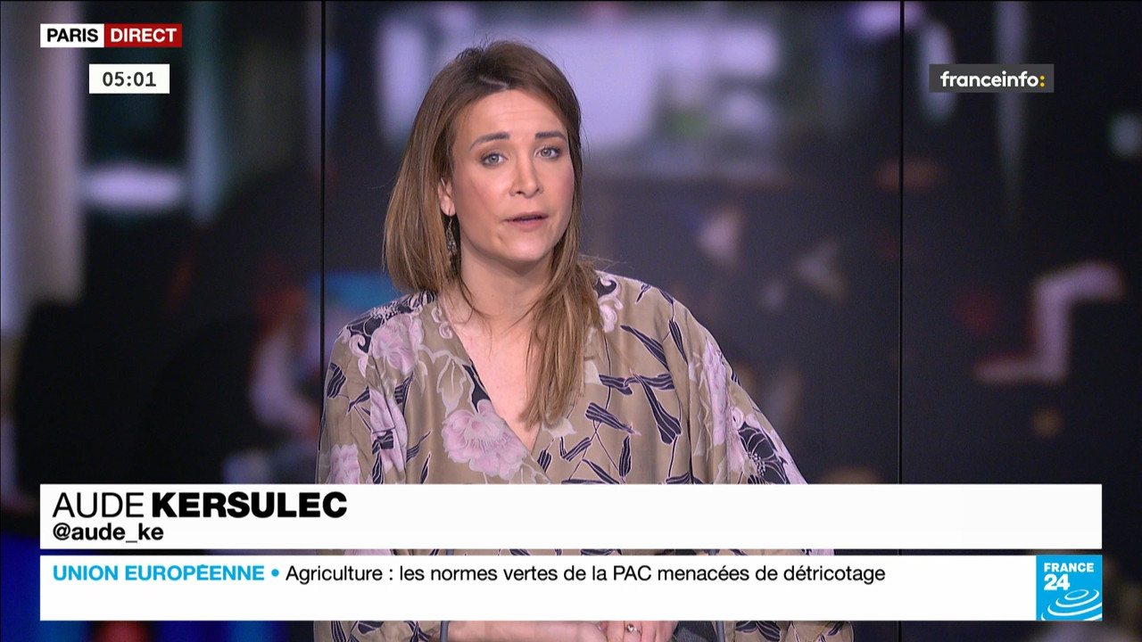 France 24 (Franceinfo)_2024_02_26_03_25_33.ts_snapshot_00.36.28.987