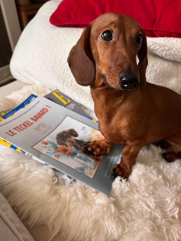 [Image: IMG-20250411-100355.jpg]