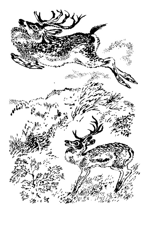 1993-page-0201