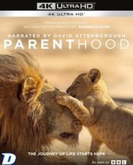 Parenthood(2025)-E01-E05-Eng-Hun-Sub.jpg