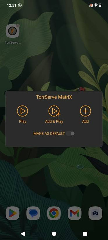 TorrServe MatriX latest version 