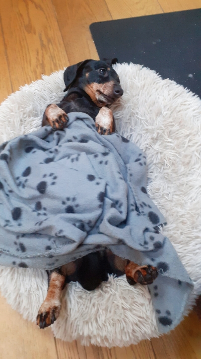 [Image: Resized-img-1674045663246-1.jpg]