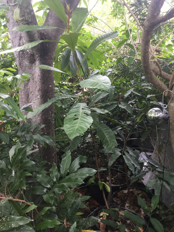 1E4A70D1-33AA-4916-81CC-0B5B64BBB359