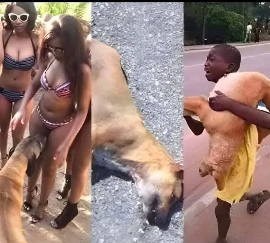 Whats-App-Image-2025-10-08-at-16-58-15-1