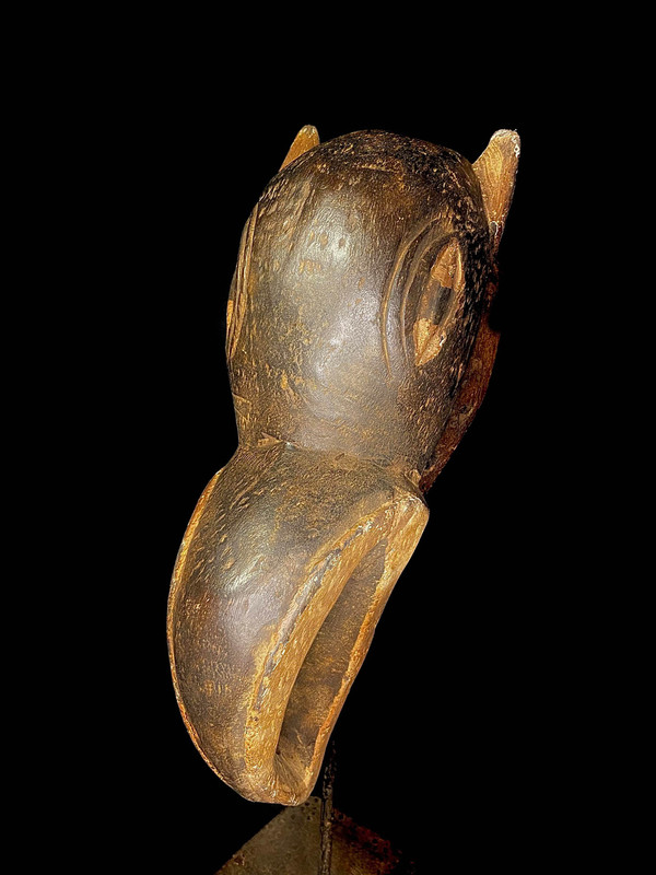 large image 7