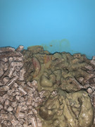 IMG-0101