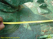 DSC03681
