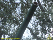 IMG-7238