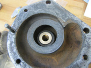 IMG-6913.jpg