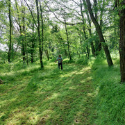 20230521-110255.jpg
