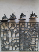 Genecult-4.jpg
