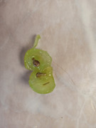 IMG-20220814-142334