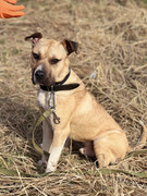 IMG_20230416_173223_111