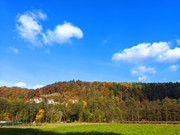 PXL_20211024_142726633