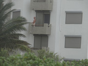 DSC00393