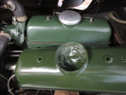 IMG-4150.jpg