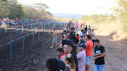 IMG-6225