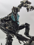 ROTF-Fallen-inhand-14