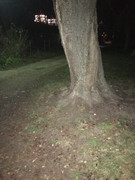 F4840690-A7A0-4A88-818D-AB41260BDF04