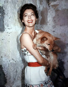 Ava-Gardner-g28