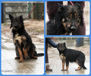 Be-Funky-collage-17.jpg&key=7c669062b4c0